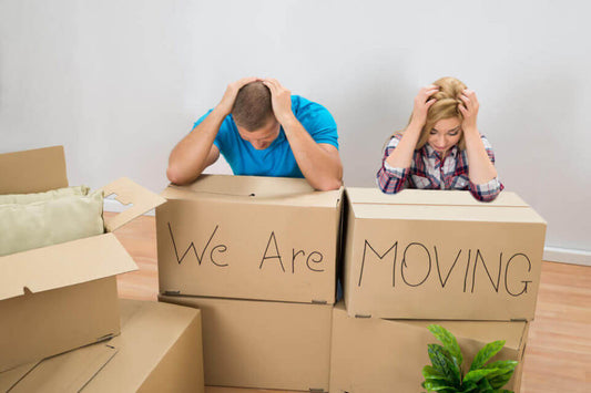 Labeling Boxes: The Key to an Organized Move
